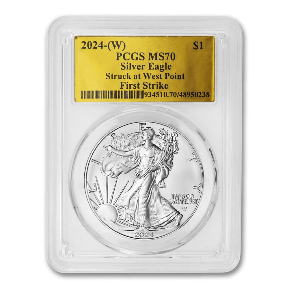 1 oz American Silver Eagle Coin MS-70 E429