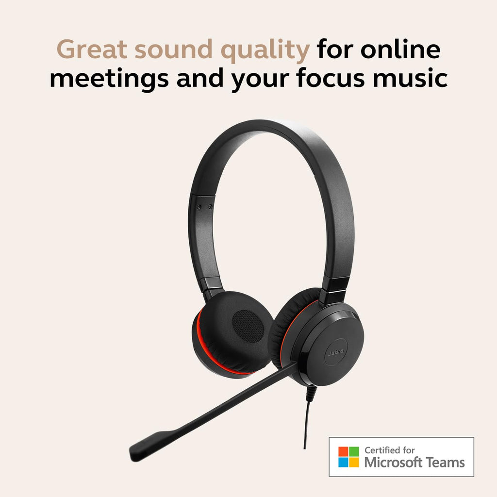 Wired Dual-Ear Headset with Mic, Black R6835