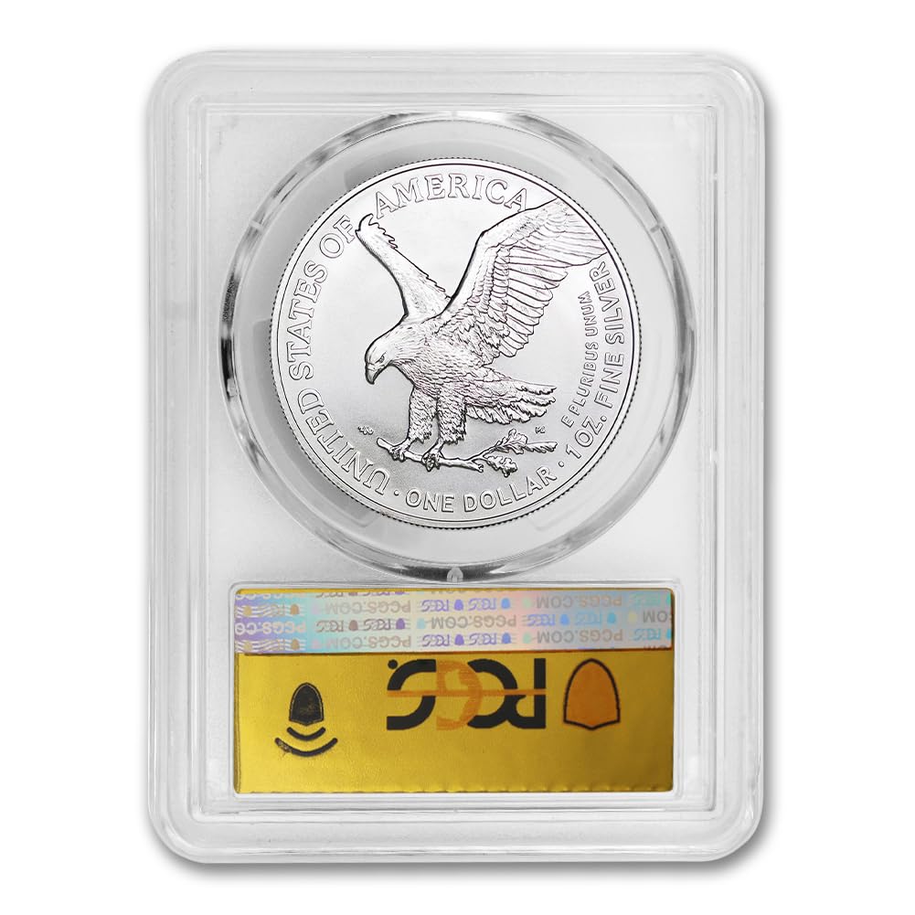 1 oz American Silver Eagle Coin MS-70 E429