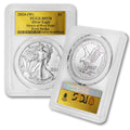 1 oz American Silver Eagle Coin MS-70 E429