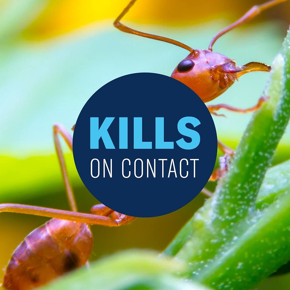 24 Hour Lawn Insect & Fire Ant Killer Ready-to-Spray 32FOZ J6860