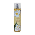 White Tea & Ginger 8.0 oz Body Splash I632201