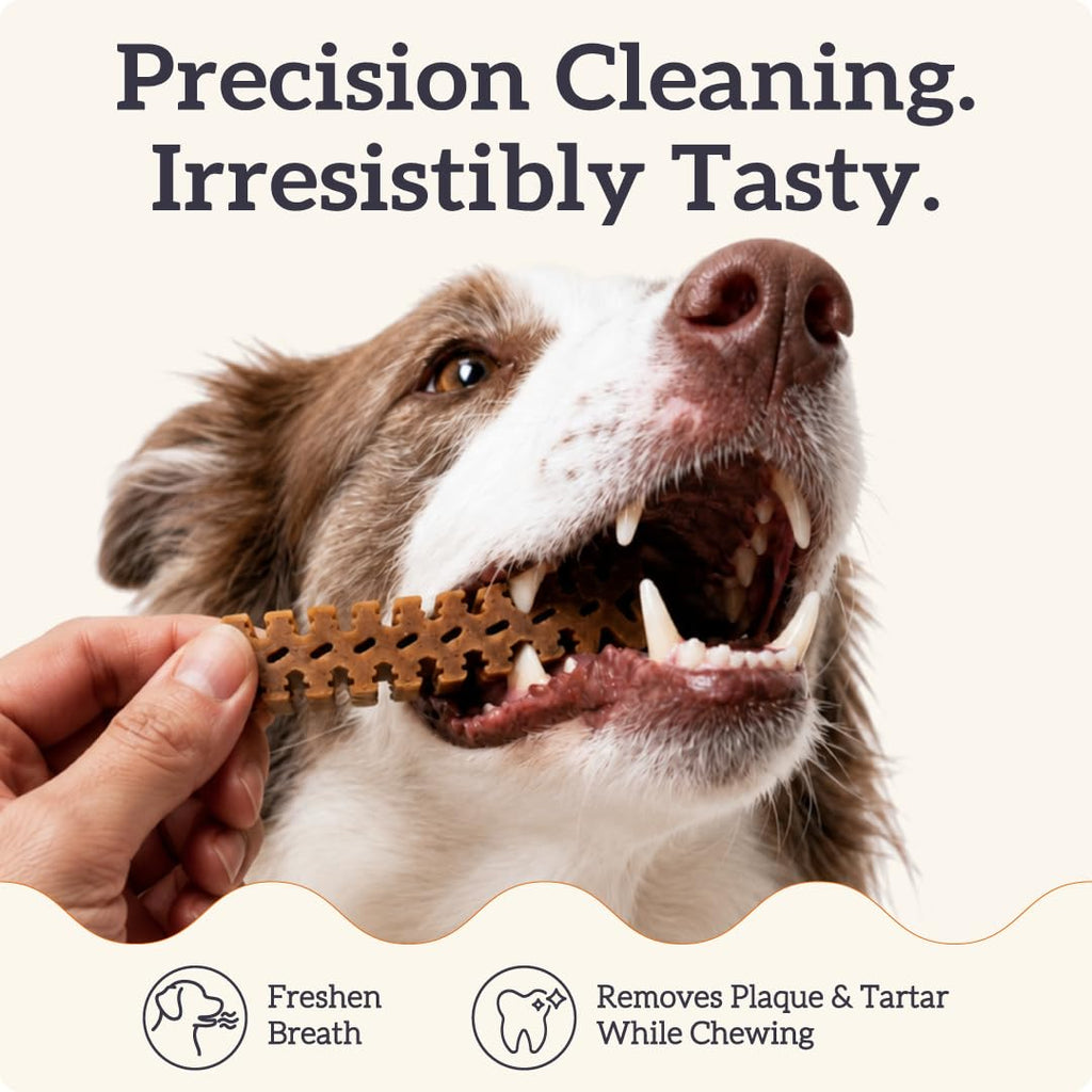 Small Flexible Dog Dental Chews 22Ct G48683