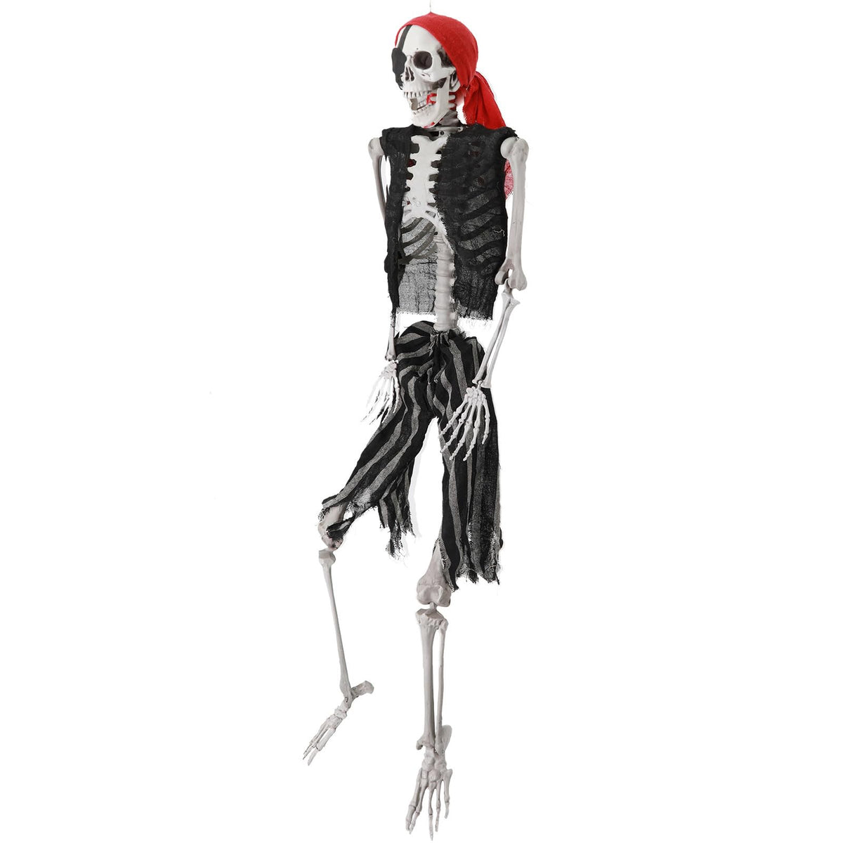 Life Size Pirate Skeleton with Movable Joints Q2016