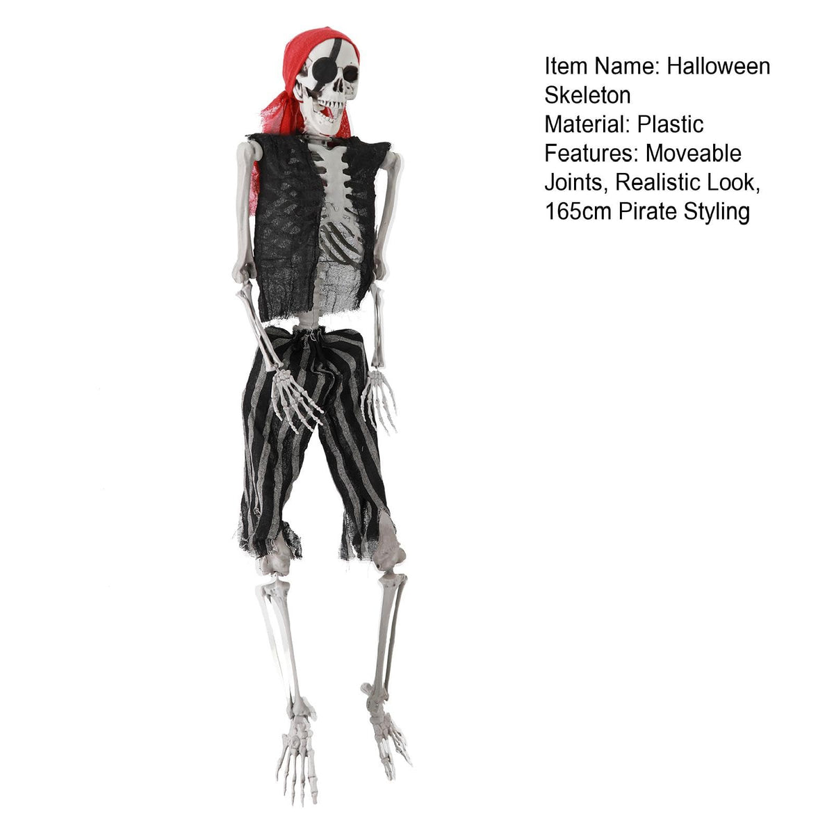 Life Size Pirate Skeleton with Movable Joints Q2016