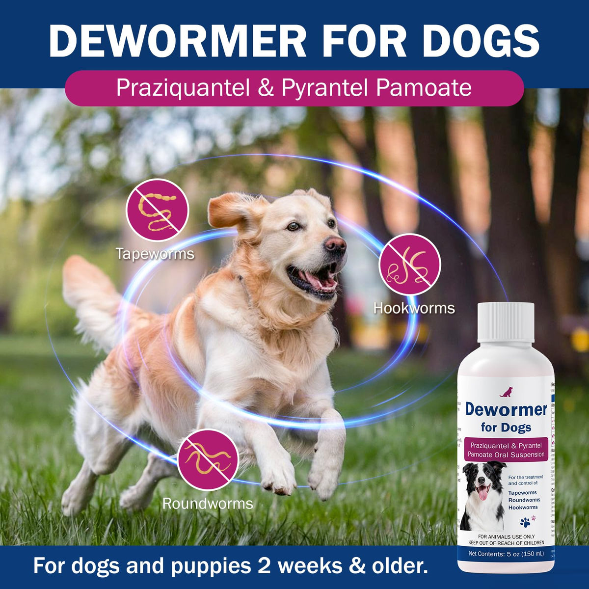 Dogs Dewormer for Tapeworms H753066