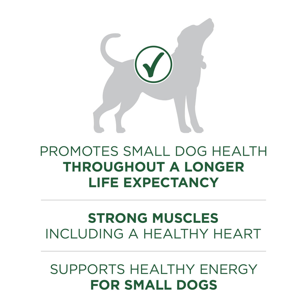 High Protein Dry Dog Food, Lamb, 7.4 lb Bag B741