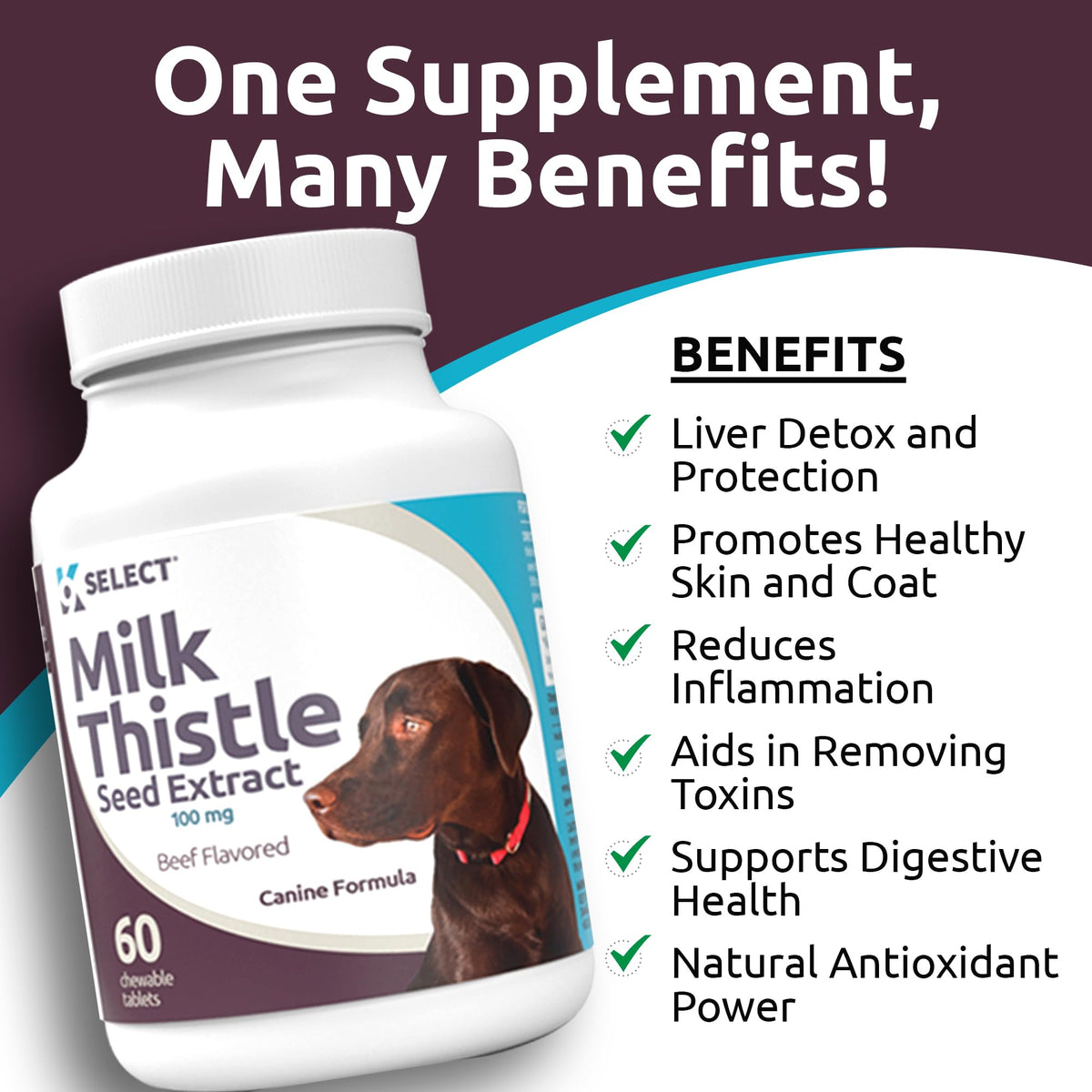 Milk Thistle Liver Support 60 Beef Chewable Tablets Z3611
