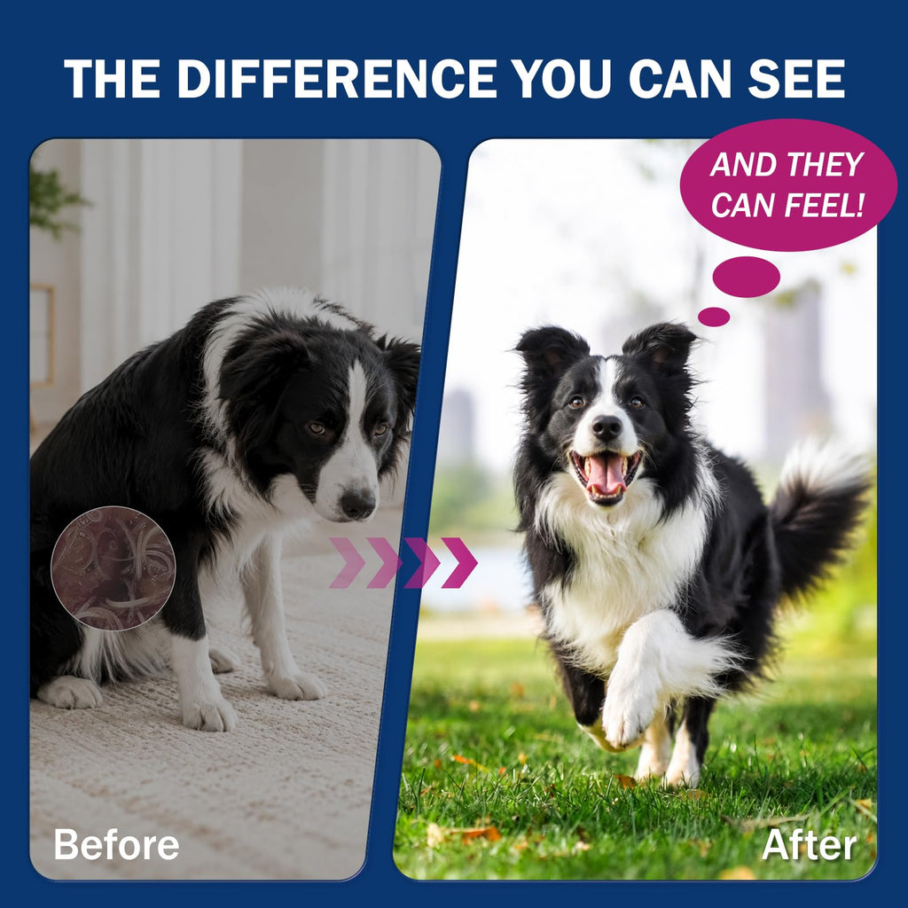 Dogs Dewormer for Tapeworms H753066