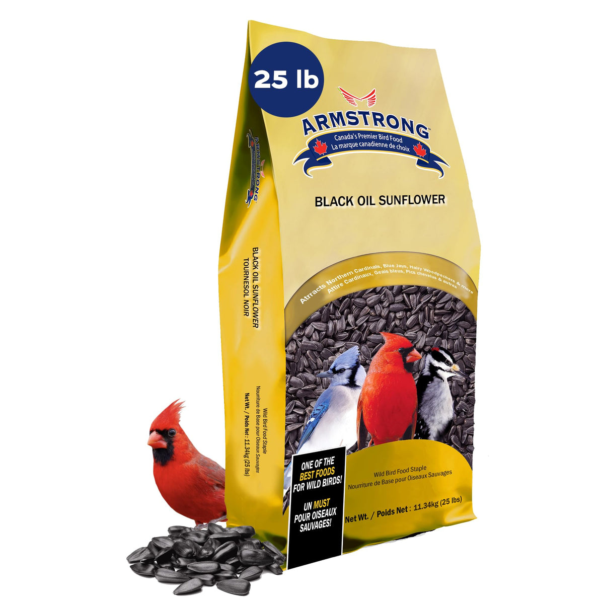 Black Oil Sunflower Bird Seed 25 Pounds M860