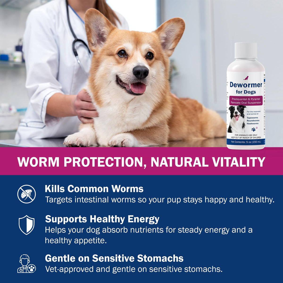 Dogs Dewormer for Tapeworms H753066