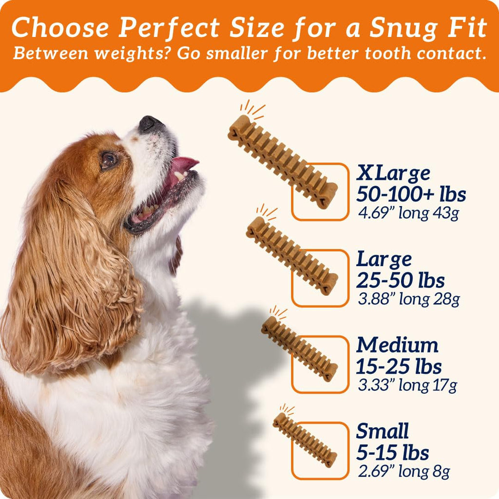 Small Flexible Dog Dental Chews 22Ct G48683