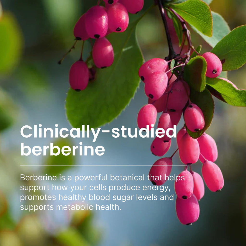 550mg Berberine Capsules 30 Ct O171
