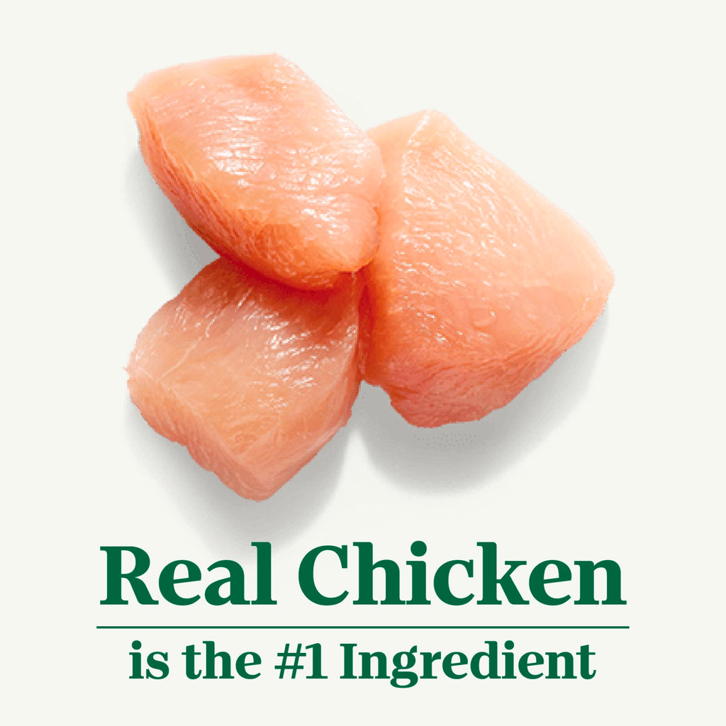 Chicken Dry Cat Food, 3 lb P204429
