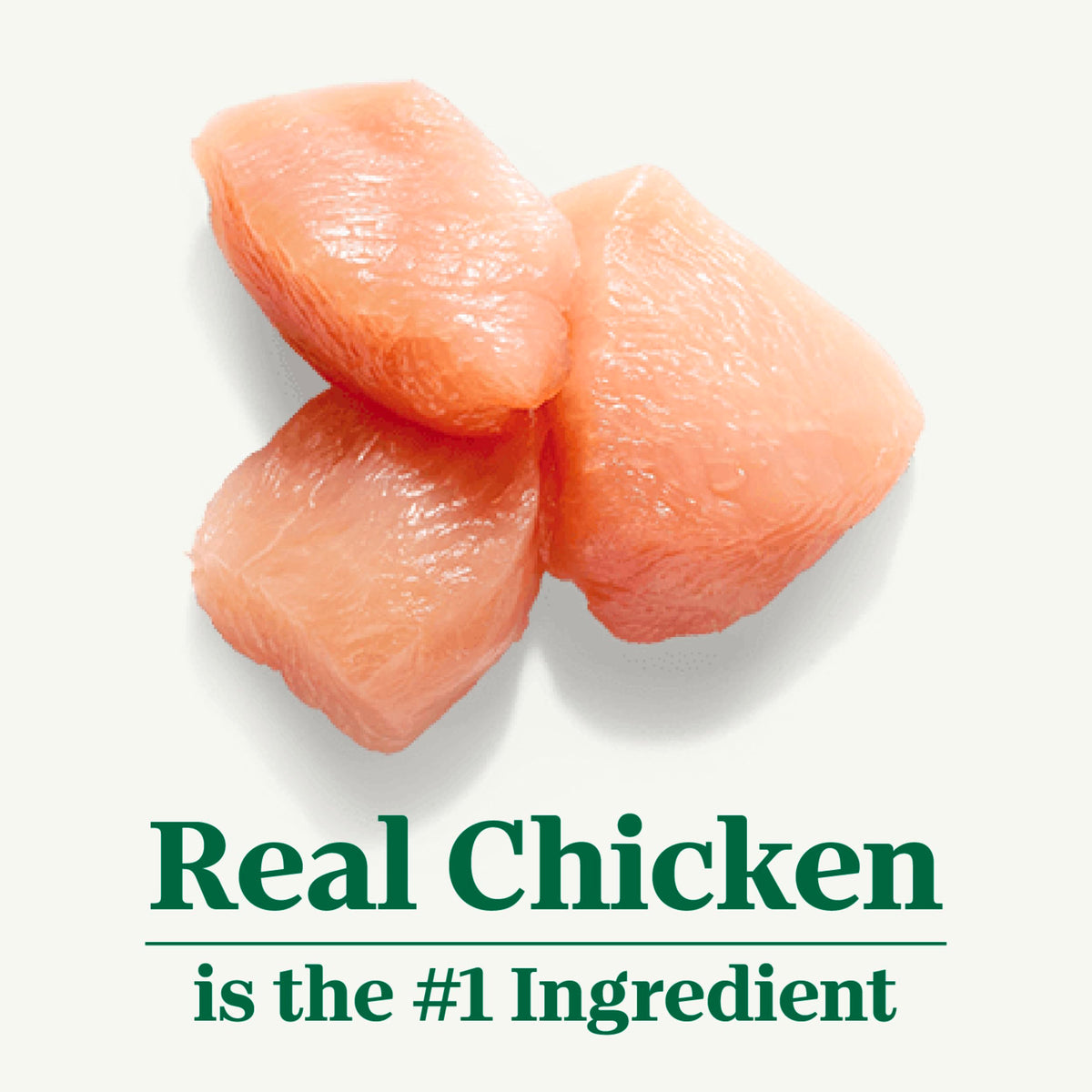 Chicken Dry Cat Food, 3 lb P204429