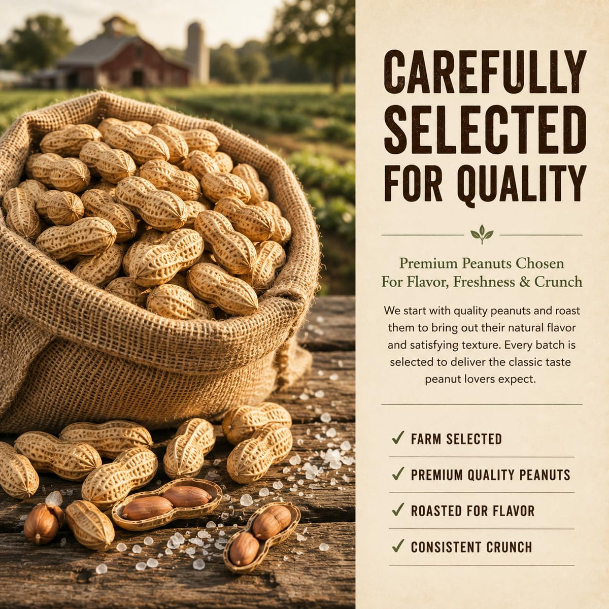 Roasted Salted Peanuts In Shell 1 LB G418886