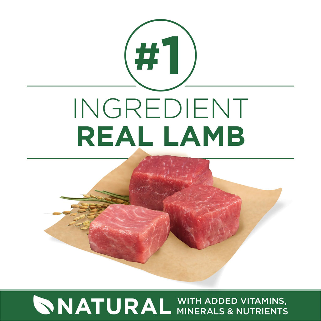 High Protein Dry Dog Food, Lamb, 7.4 lb Bag B741