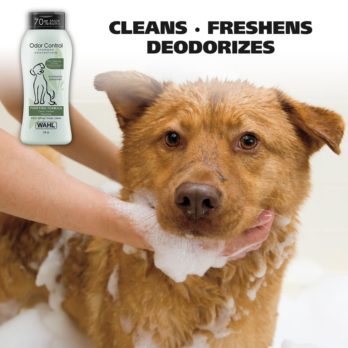 Eucalyptus Spearmint Odor Control Dog Shampoo 24 Oz B35275