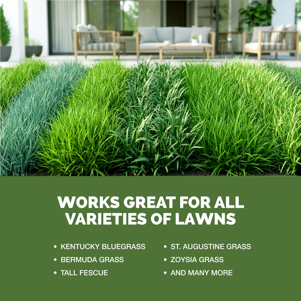 Liquid Lawn Fertilizer 1 Gallon J61361