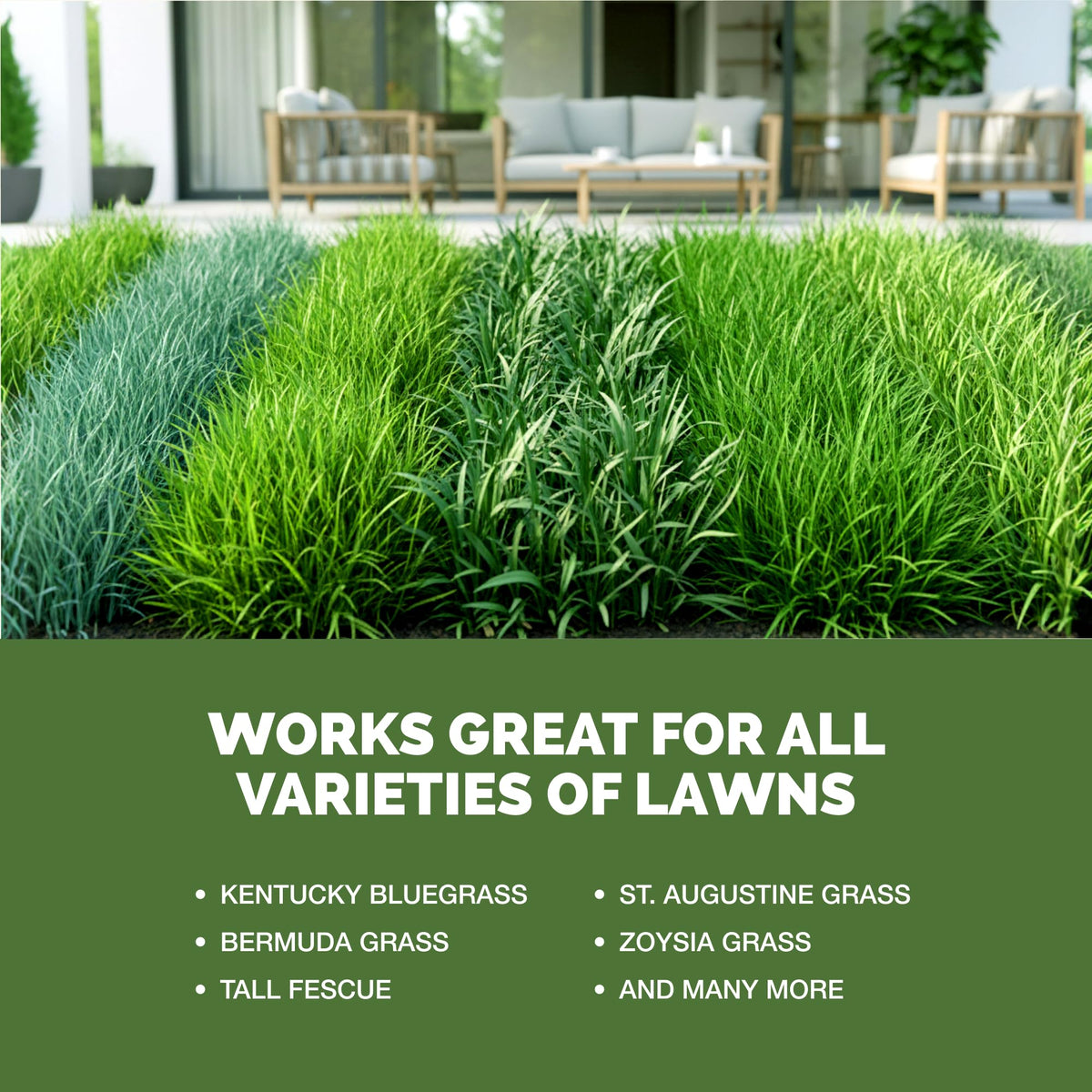 Liquid Lawn Fertilizer 1 Gallon J61361