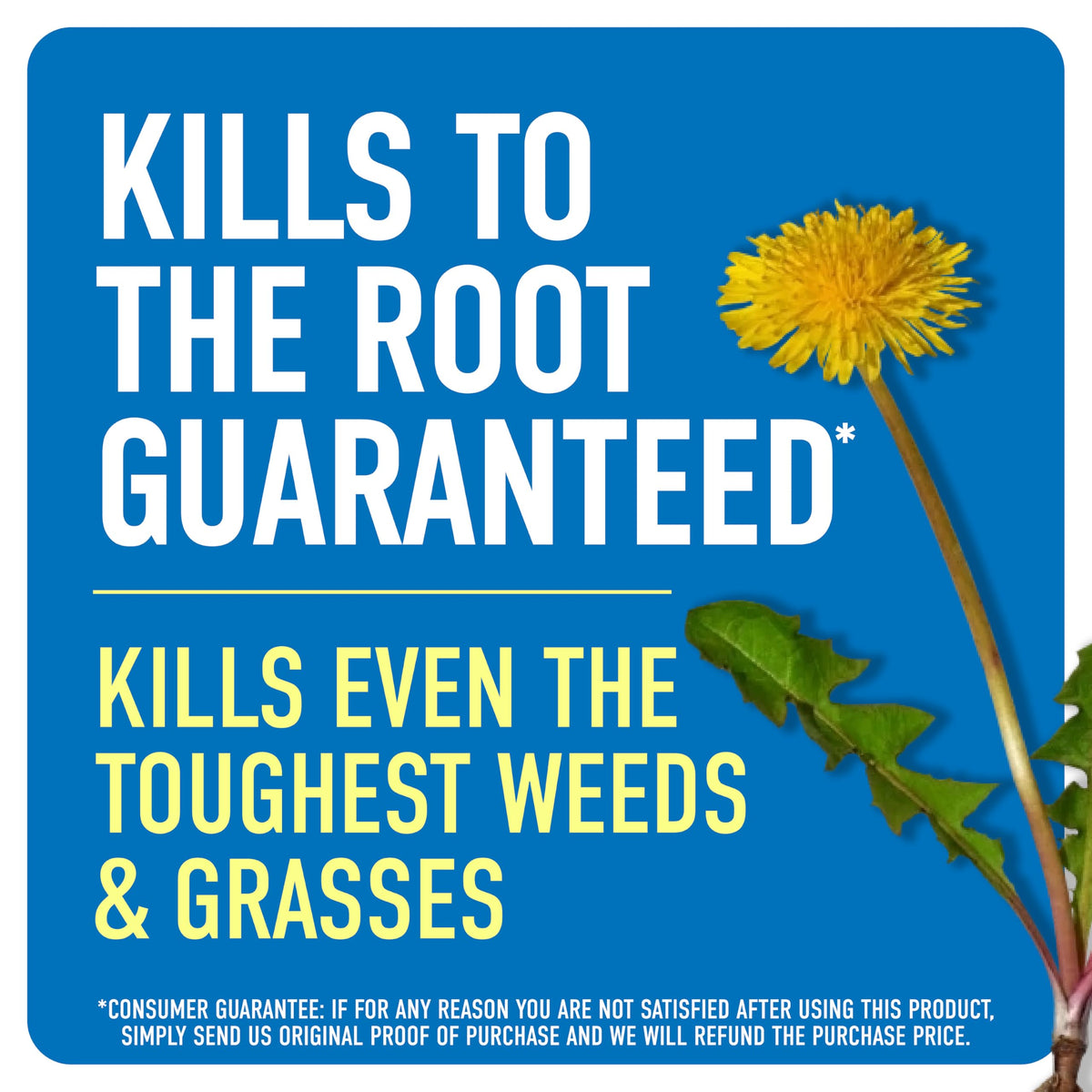 Weed & Grass Killer with Sprayer U573701