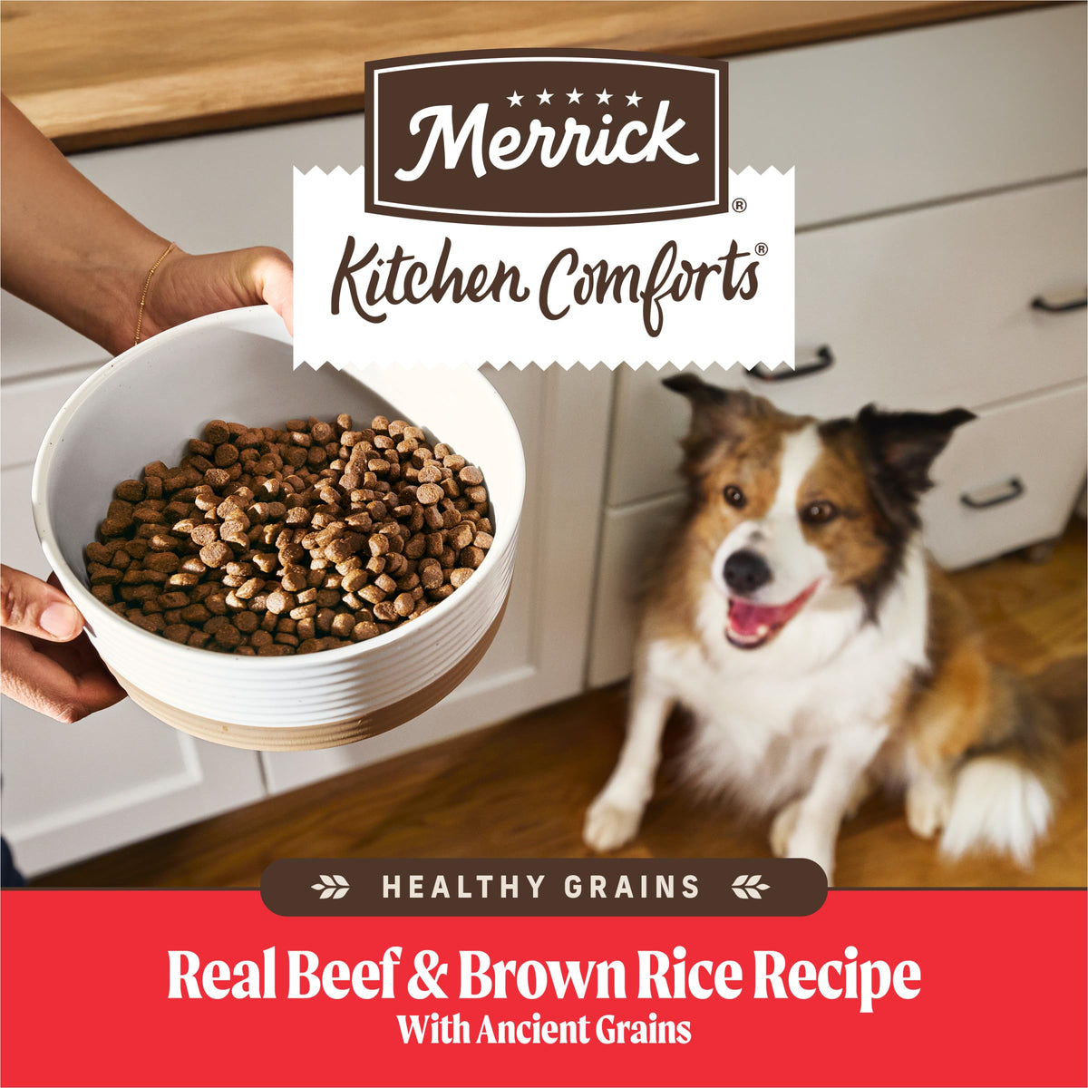 Adult Dry Dog Food Beef and Brown Rice 12 lb P548