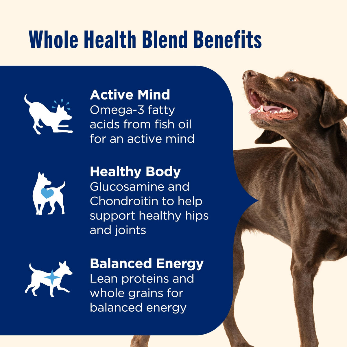 Large Breed Dry Dog Food with Beef 40 lb Bag N74244