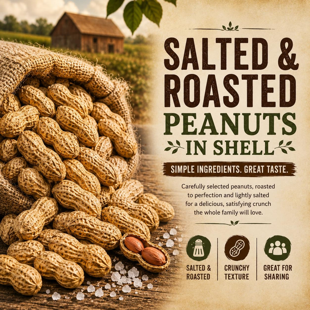 Roasted Salted Peanuts In Shell 1 LB G418886
