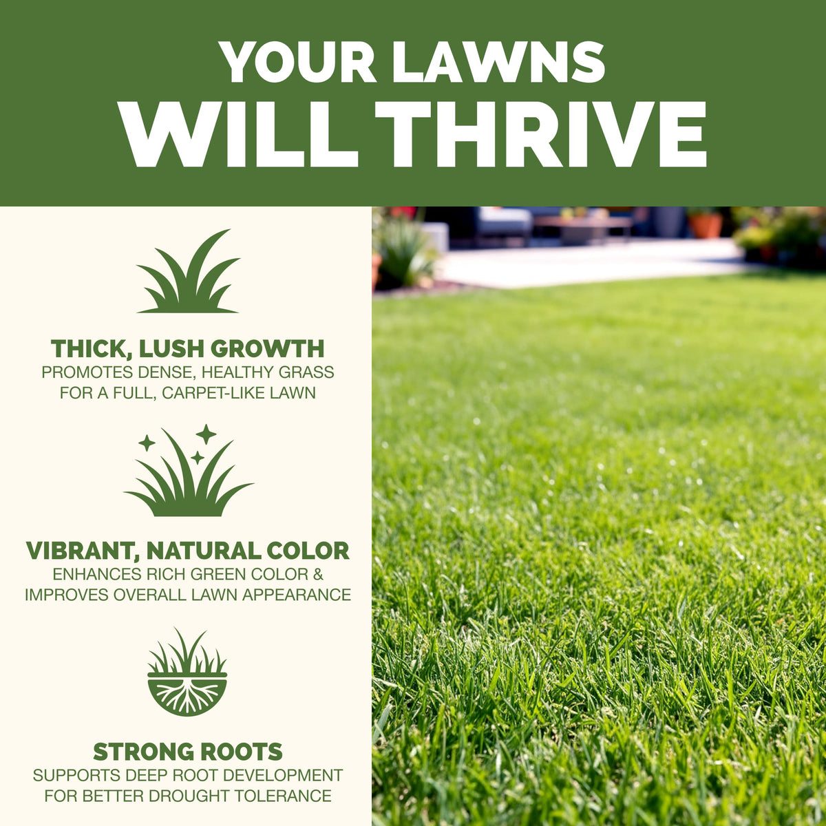 Liquid Lawn Fertilizer 1 Gallon J61361