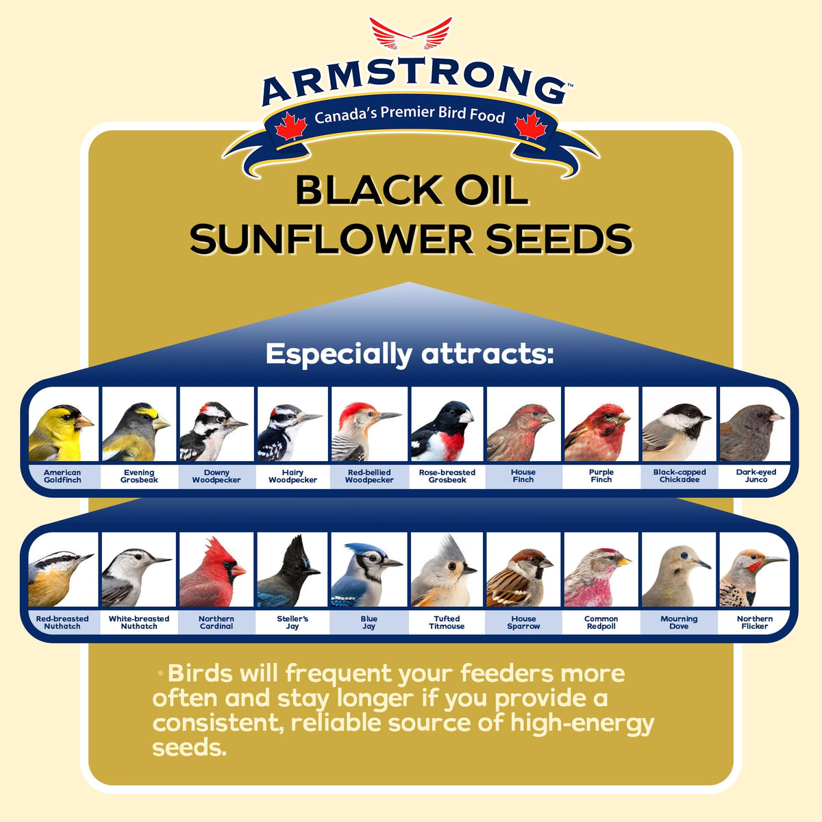 Black Oil Sunflower Bird Seed 25 Pounds M860