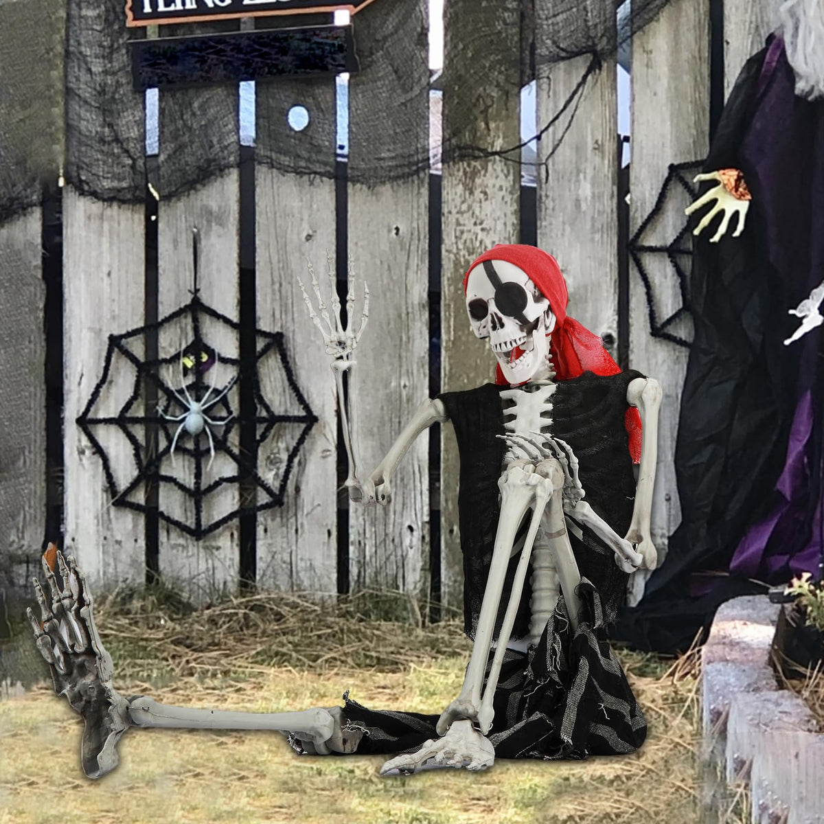 Life Size Pirate Skeleton with Movable Joints Q2016