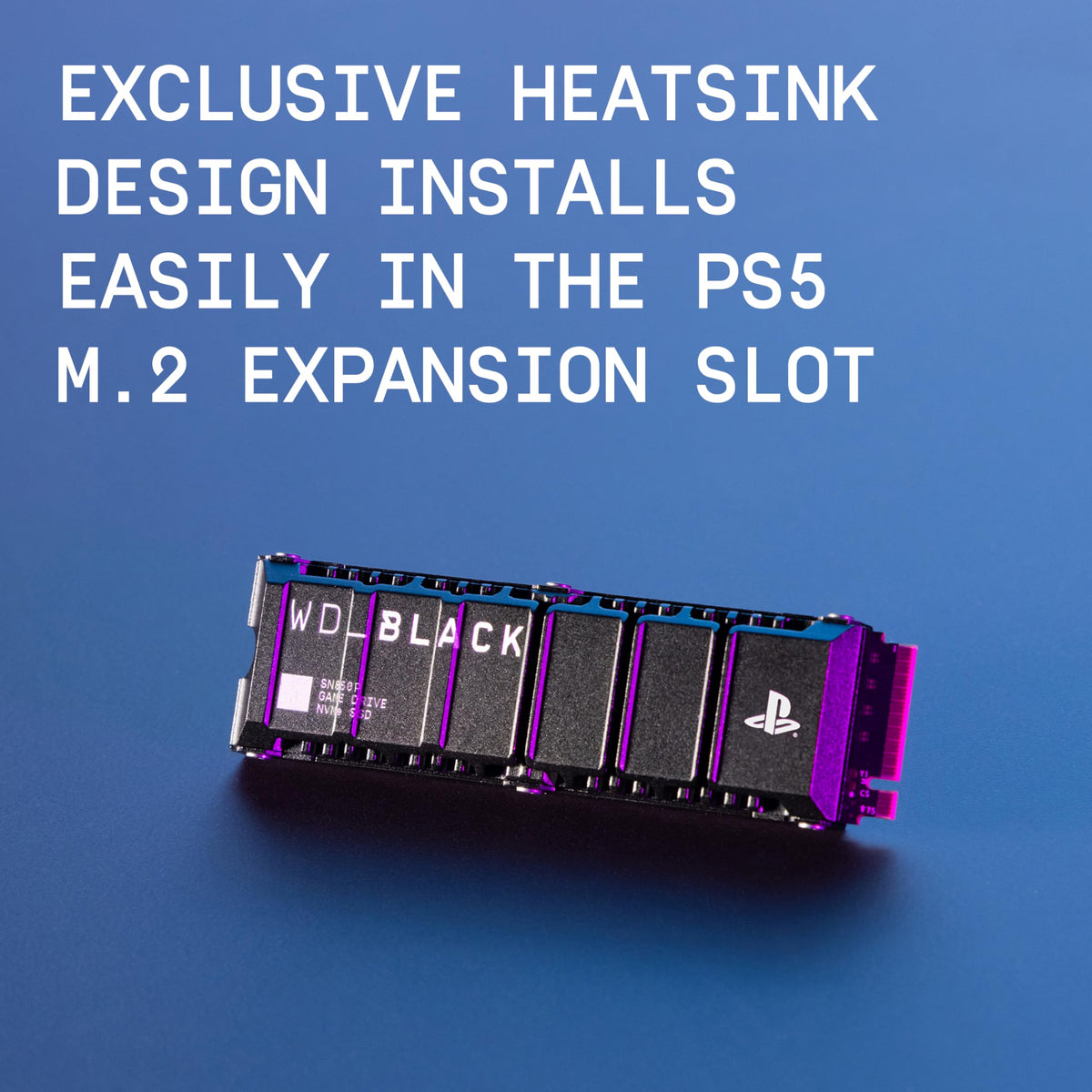 1TB NVMe M.2 SSD with Heatsink B136