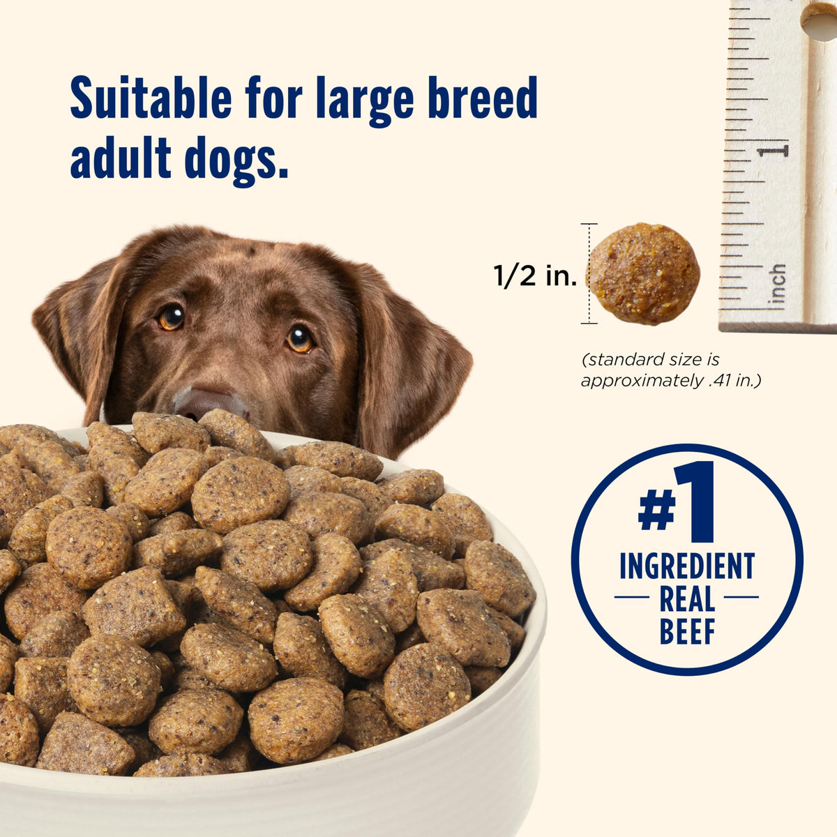 Large Breed Dry Dog Food with Beef 40 lb Bag N74244