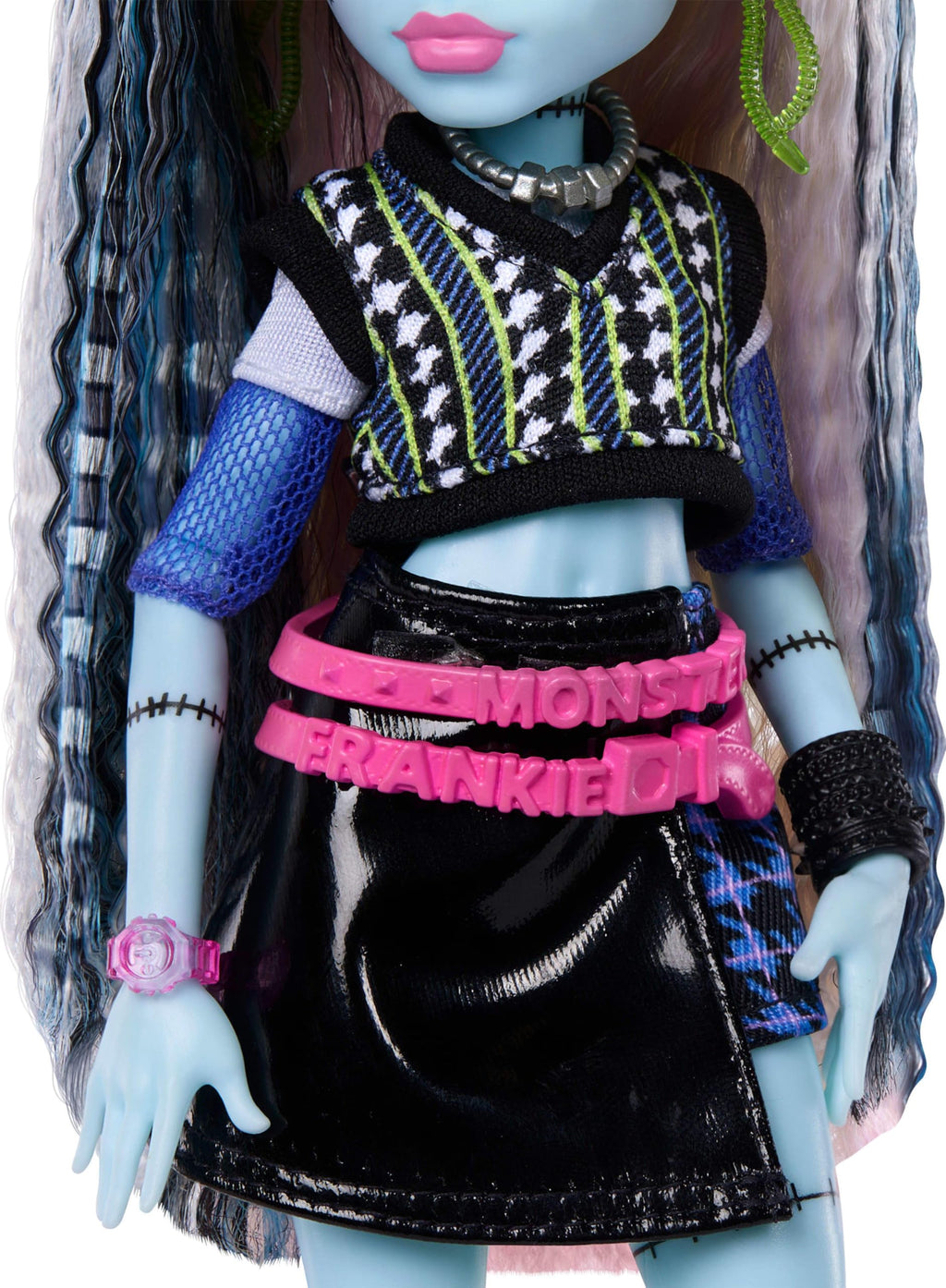 Frankie Stein Doll with Pet Dog L898