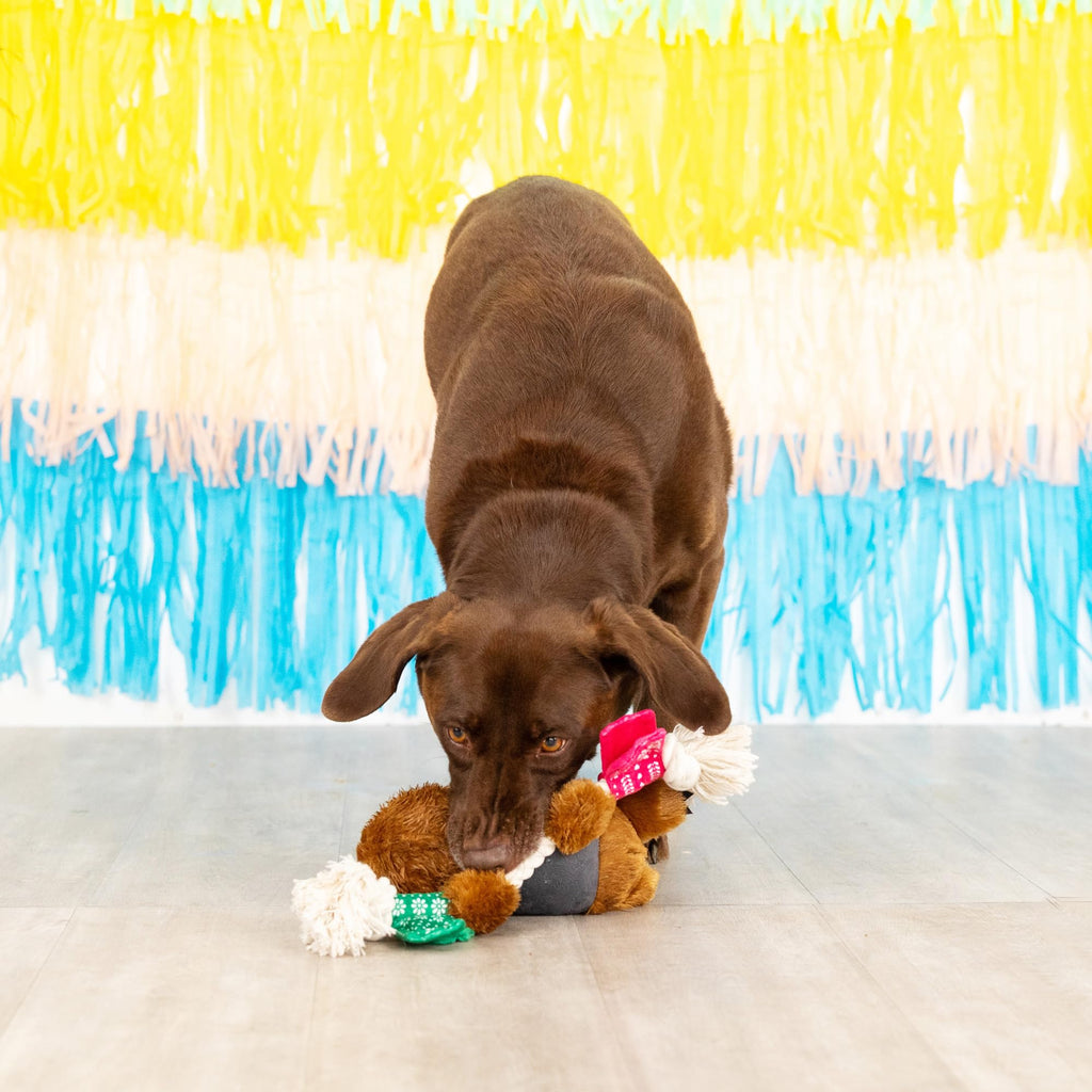 Plush Dog Toy E957