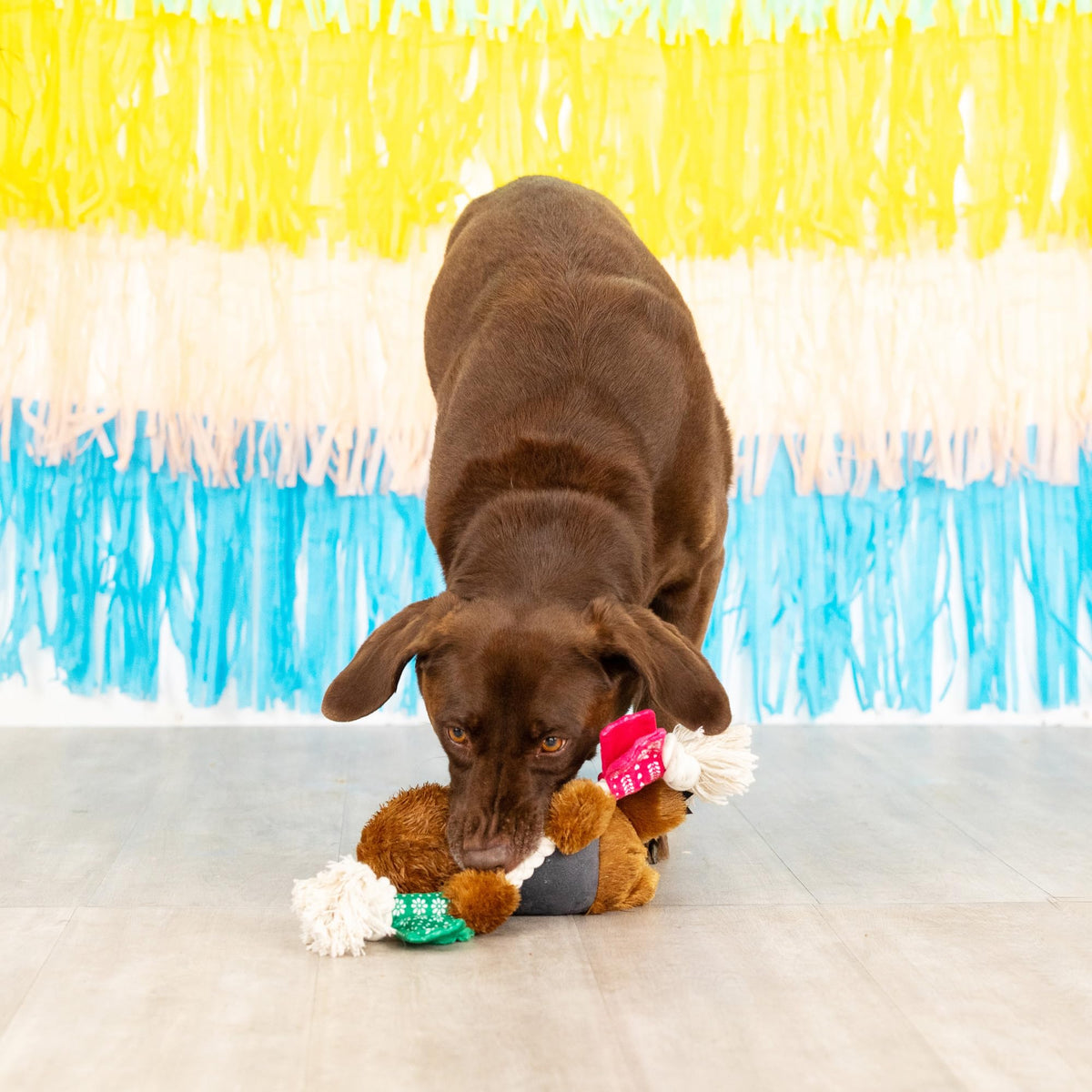 Plush Dog Toy E957