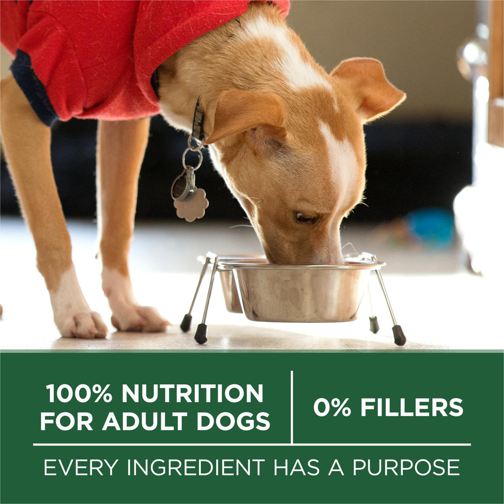 High Protein Dry Dog Food, Lamb, 7.4 lb Bag B741