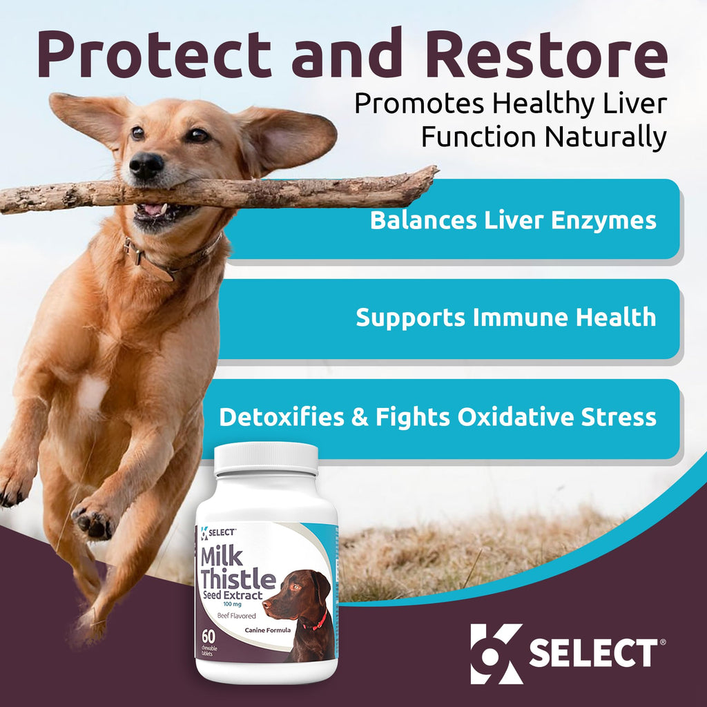 Milk Thistle Liver Support 60 Beef Chewable Tablets Z3611