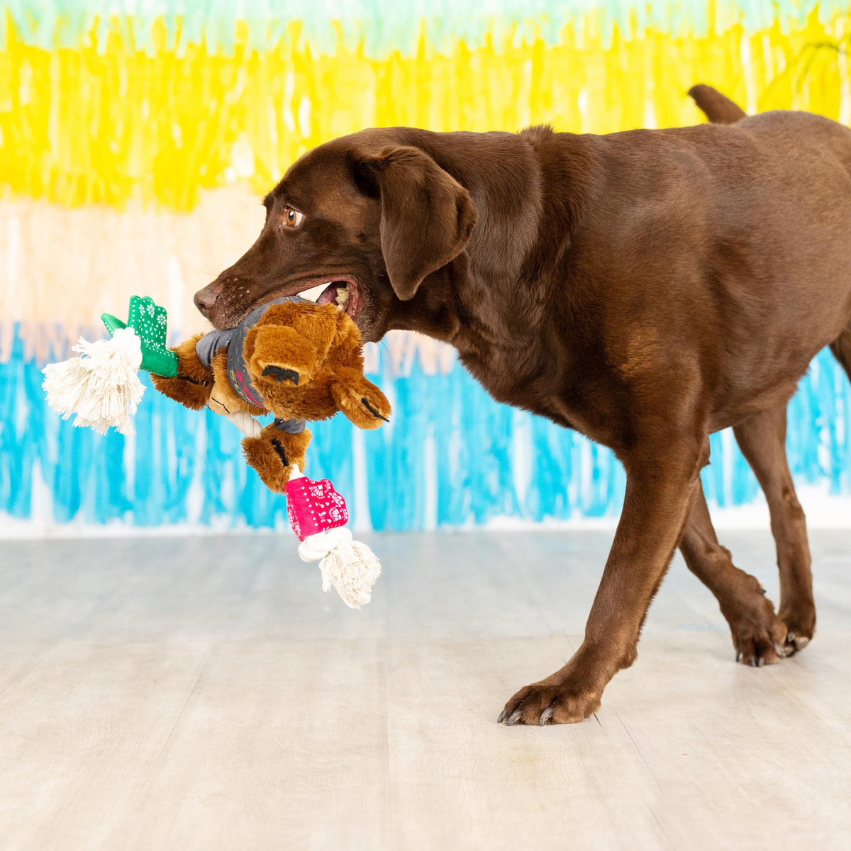 Plush Dog Toy E957