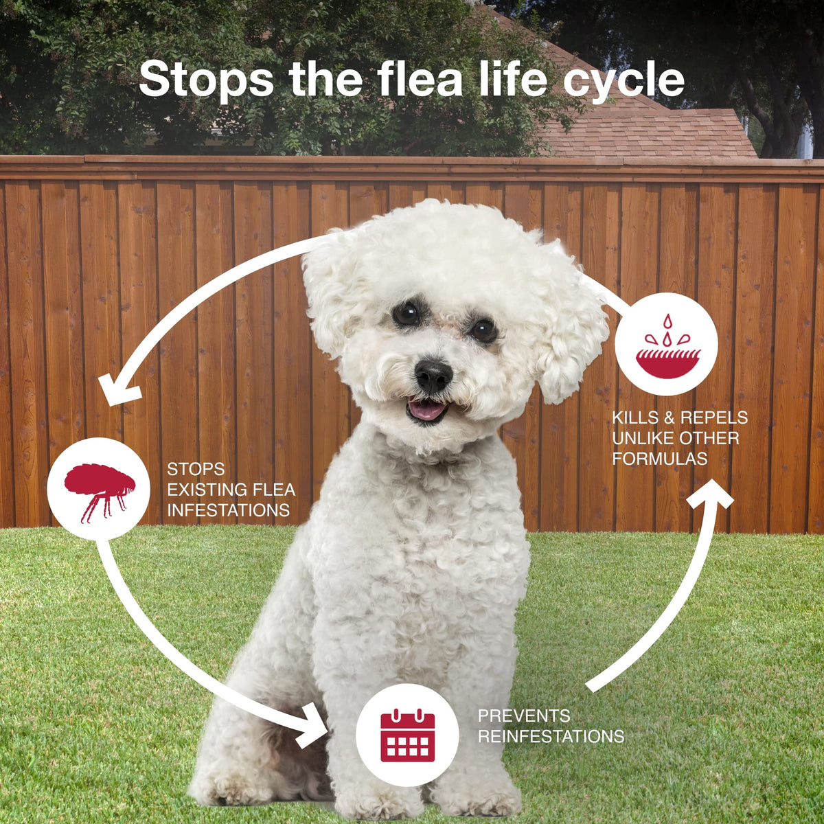 Flea, Tick & Mosquito Treatment & Prevention for Dogs 4-10 lbs F37087
