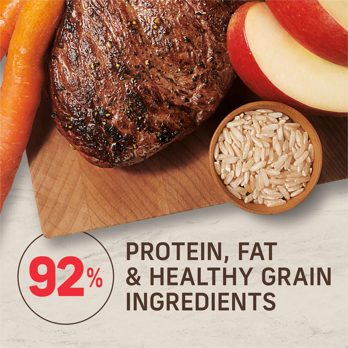 Adult Dry Dog Food Beef and Brown Rice 12 lb P548