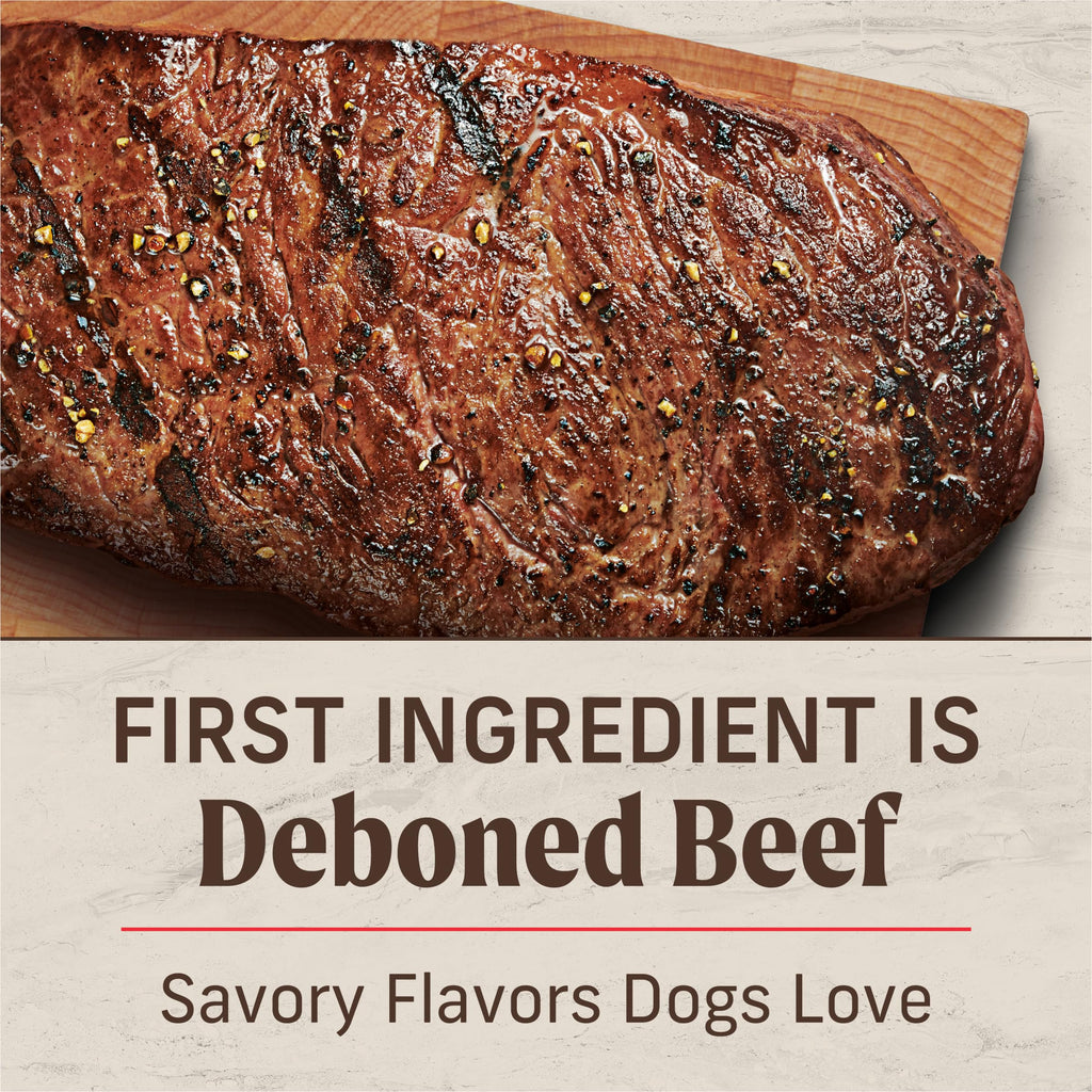 Adult Dry Dog Food Beef and Brown Rice 12 lb P548